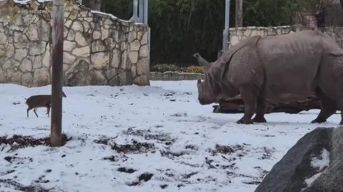 Klatka kluczowa-149101