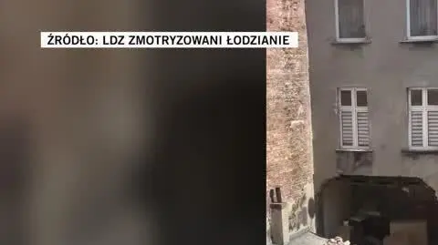 LDZ Zmotryzowani Łodzianie