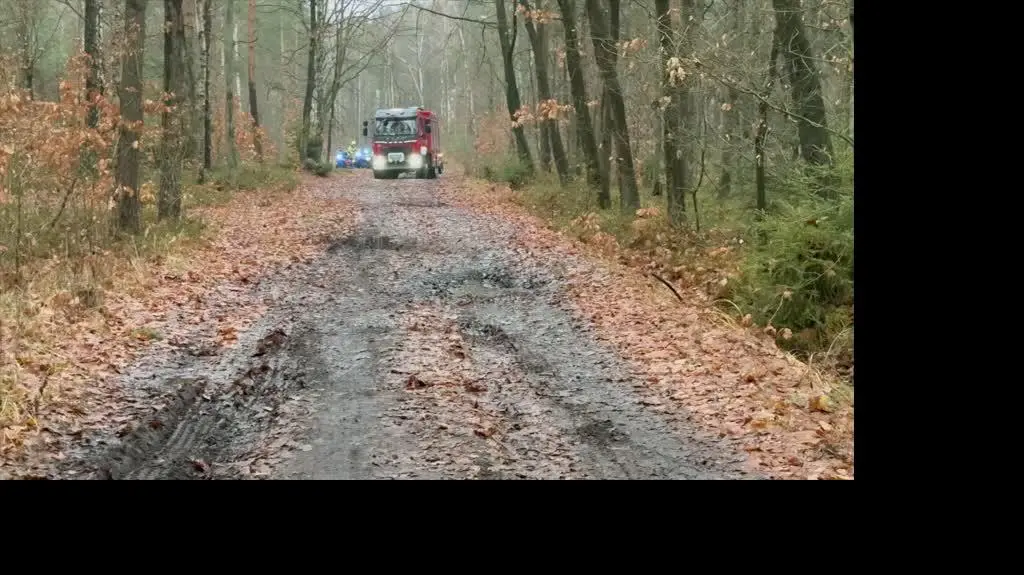 zaginiony
