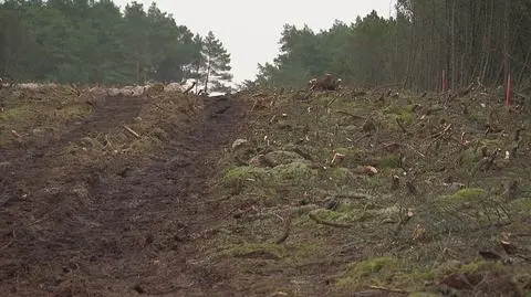 Klatka kluczowa-84022