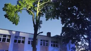 Na miejscu pojawiła się straż pożarna