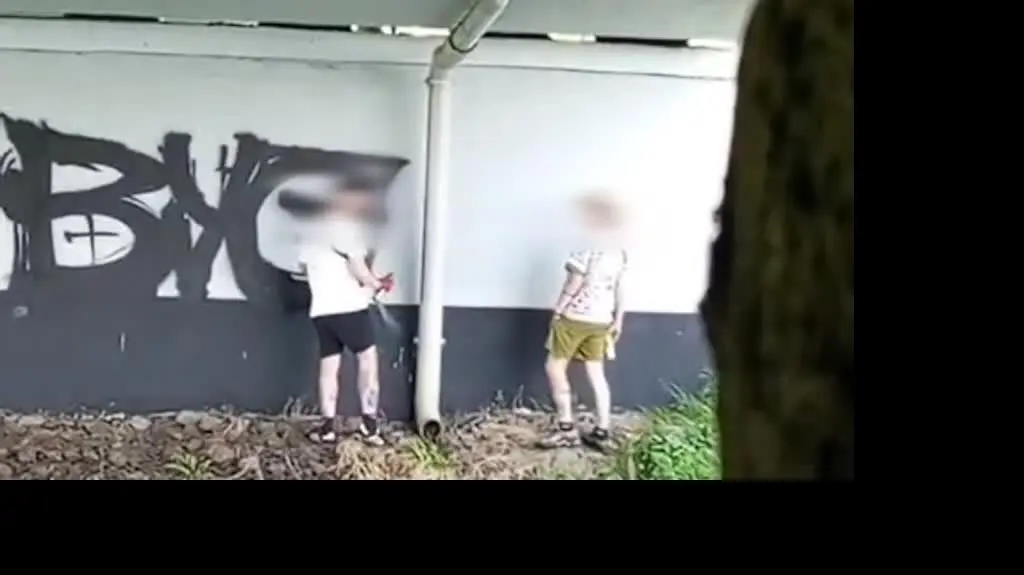 Grafficiarzom grozi do pięciu lat więzienia