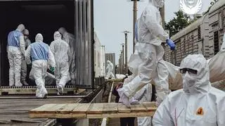 1200 ciał poległych cywilów i ukraińskich żołnierzy powróciło na Ukrainę