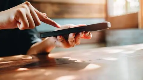 shutterstock_2688933339