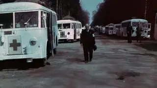 Konwój autobusów Szwedzkiego Czerwonego Krzyża we Friedrichsruh