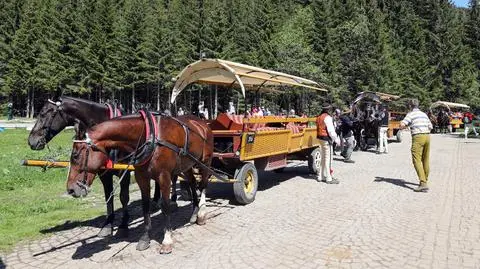 Transport konny na trasie do Morskiego Oka