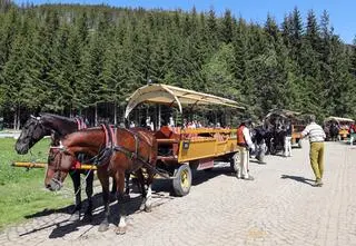 Bronią konnego biznesu nad Morskim Okiem. Według nich zwierzęta mają się dobrze