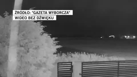 wyborcza 