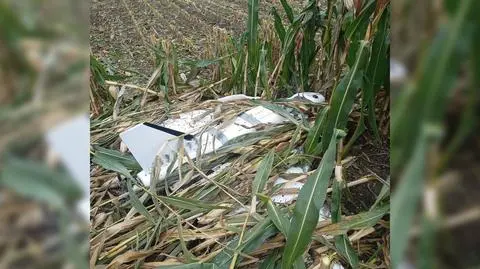 Dron znaleziony na polu kukurydzy w powiecie działdowskim