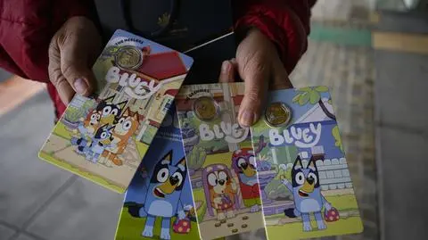 Skradziono monety z postaciami z popularnej bajki. Podejrzany w rękach policji