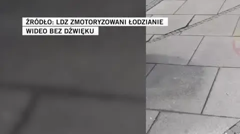 LDZ Zmotoryzowani Łodzianie
