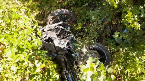 Najpierw uderzył w psa, później w drzewo. 17-latek nie żyje