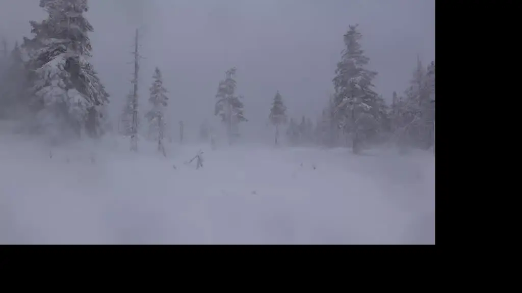 Wichura w Karkonoszach