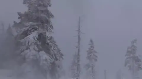 Wichura w Karkonoszach