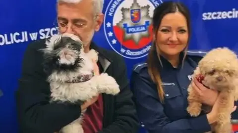 Psy wróciły do właściciela