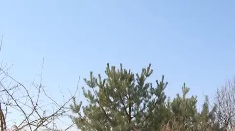 Wyciszenie dźwięku