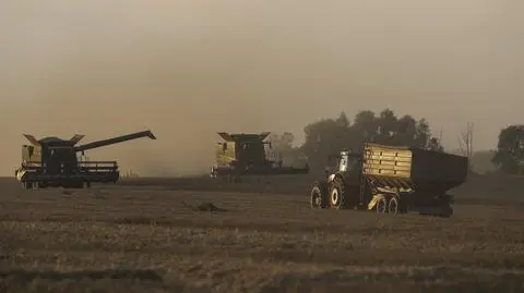 Ukraina, zboże, zboże z Ukrainy, kryzys zbożowy, Kijów