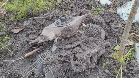 Klatka kluczowa-316713