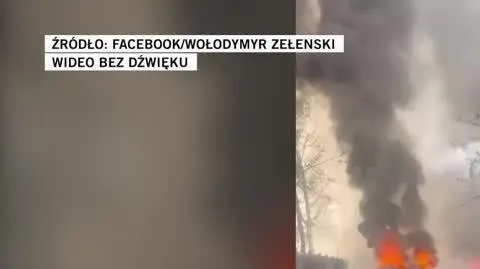 zelen 