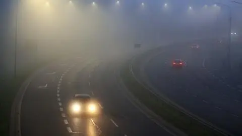 Mglista noc