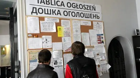 Patryk Jaki: "wiz pracowniczych jest teraz więcej". A naprawdę? Mamy dane
