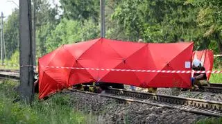 Na miejscu śmierć poniosły cztery osoby podróżujące samochodem