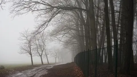 Mgła, zimno, chłód