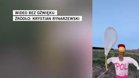  Krystian Rynarzewski