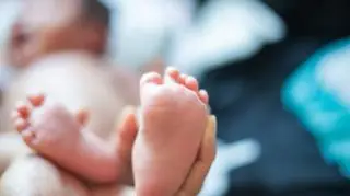 Porody na dziko. "Są to przerażające informacje"