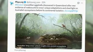 Wspinały się po drzewach i polowały jak lamparty