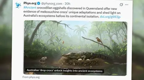 Międzynarodowy zespół naukowców odkrył w Australii najstarsze skorupki jaj krokodyli