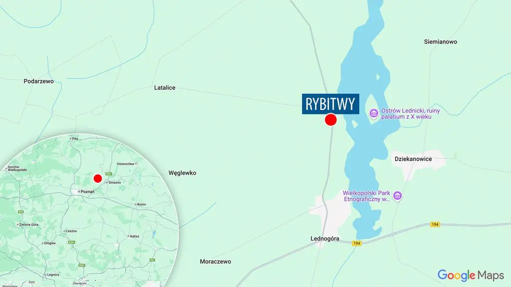 Rybitwy