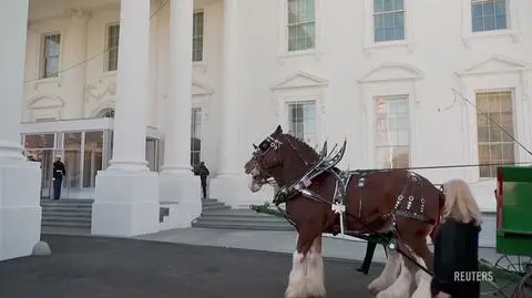 Klatka kluczowa-50221