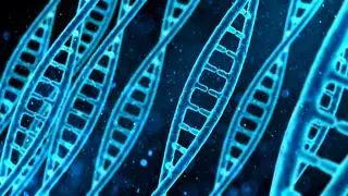 DNA - zdjęcie poglądowe