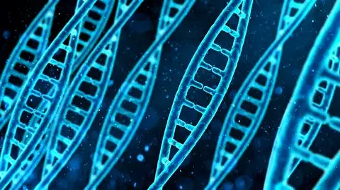 DNA - zdjęcie poglądowe