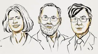 Mary E. Brunkow, Fred Ramsdell i Shimon Sakaguchi - tegoroczni laureaci Nagrody Nobla