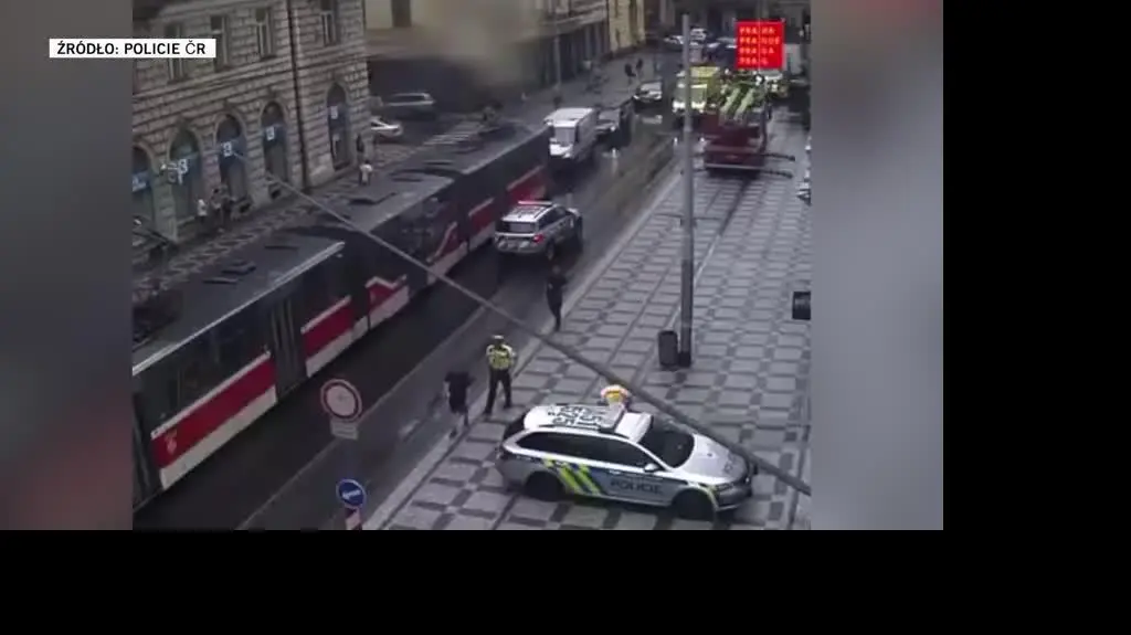 policja