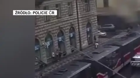 policja