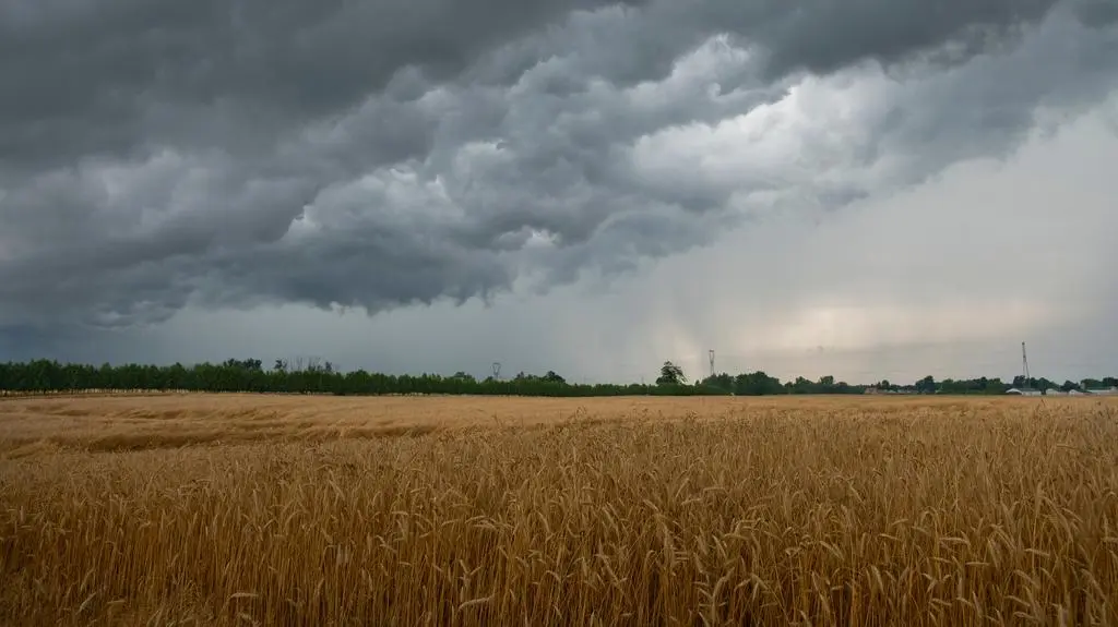Deszcz, burze, silny wiatr i grad. Ostrzeżenia IMGW