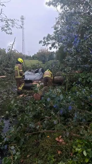 Drzewo runęło na auto 