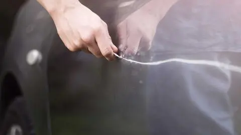 shutterstock_1219757869