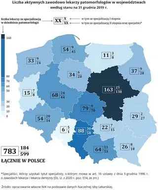 Liczba aktywnych zawodowo lekarzy patomorfologów w województwach według stanu na 31 grudnia 2019 r.