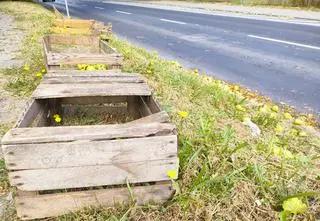 Zignorował znak, uderzył w wiadukt. "Z ciężarówki wypadły skrzynie z jabłkami"