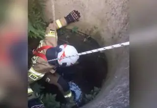 Strażacy uratowali psa, który wpadł do studni