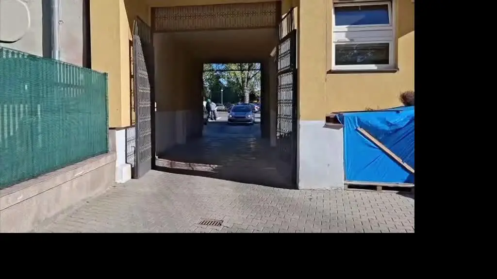policja