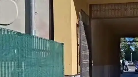 policja