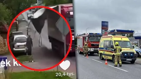 Pas z plandeki uderzył kobietę