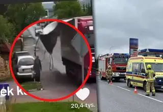 Piesza zginęła po uderzeniu pasem plandeki