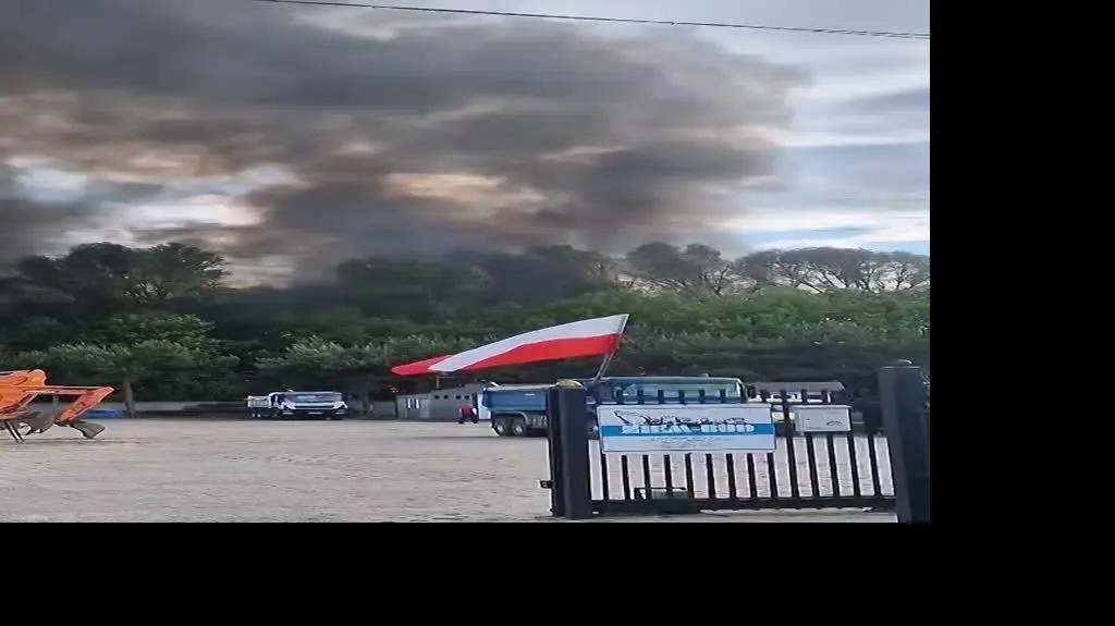 snapsave-app_1400198144333953_hd