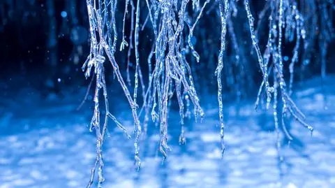 AdobeStock_128030804